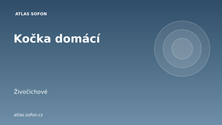 Kočka domácí