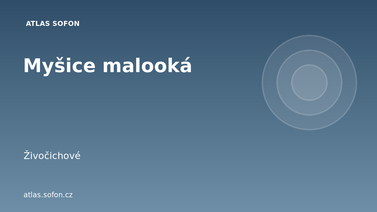 Myšice malooká