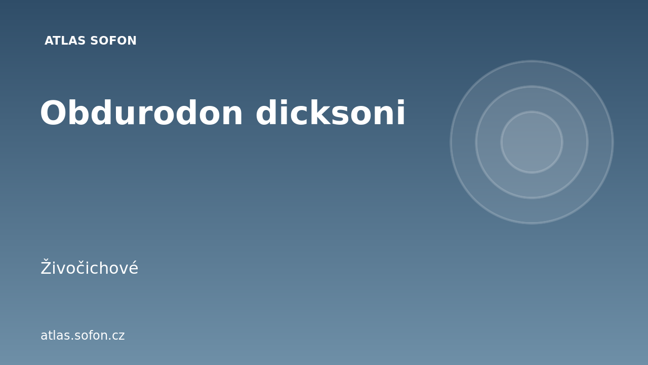 Obdurodon dicksoni