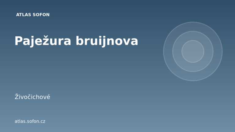 Paježura bruijnova