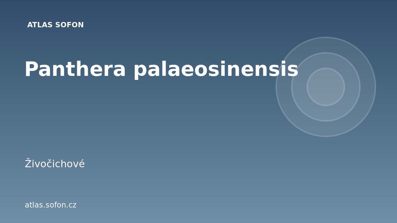 Panthera palaeosinensis