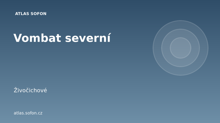 Vombat severní Vombat severní