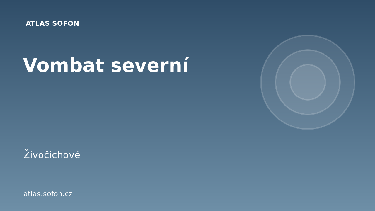 Vombat severní