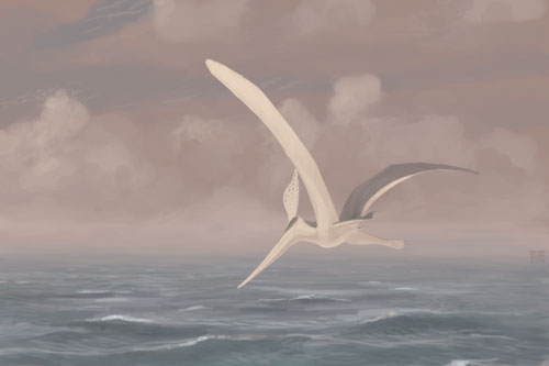 Pteranodon sternbergi (model)