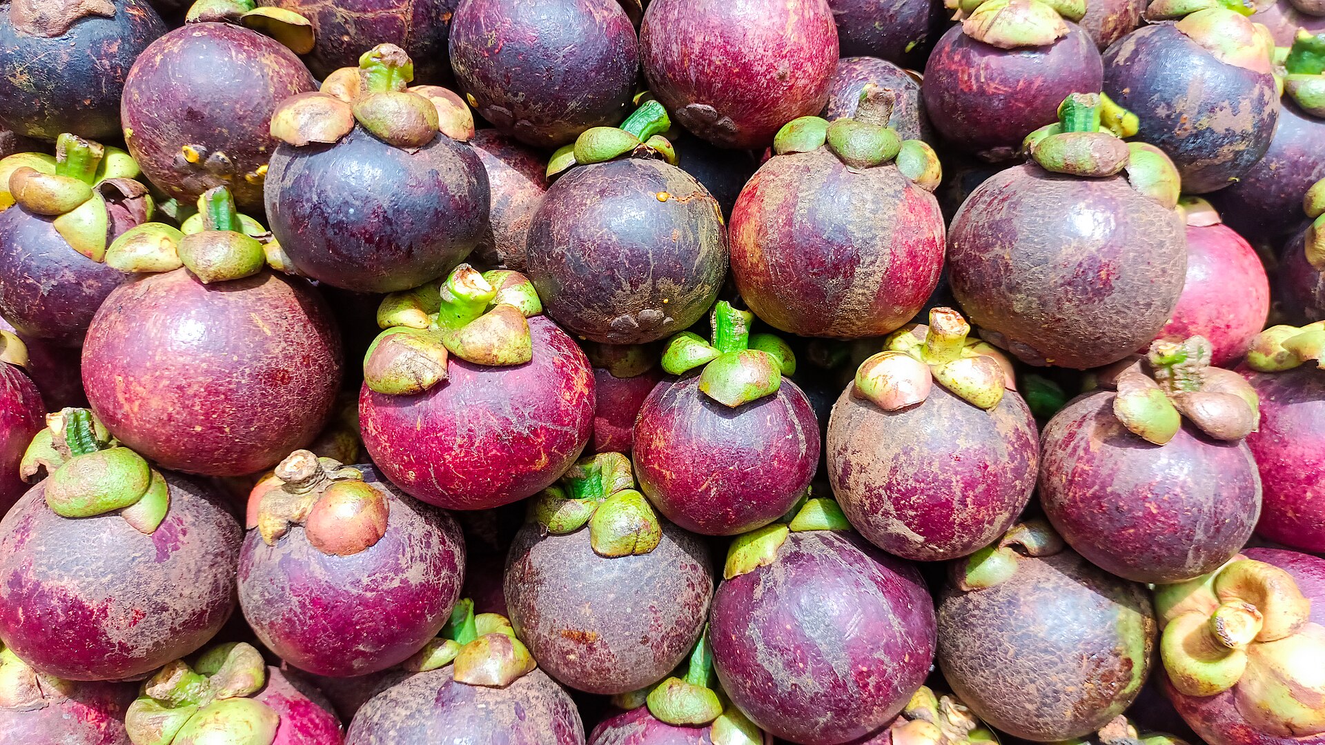 Mangosteen on tree — Stock Photo © wuttichok #35308355
