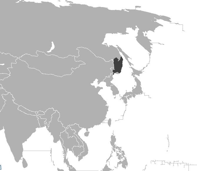 Mapa rozšíření – Tygr ussurijský (Panthera tigris altaica)