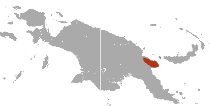 Mapa rozšíření – Klokan matschieův (Dendrolagus matschiei)