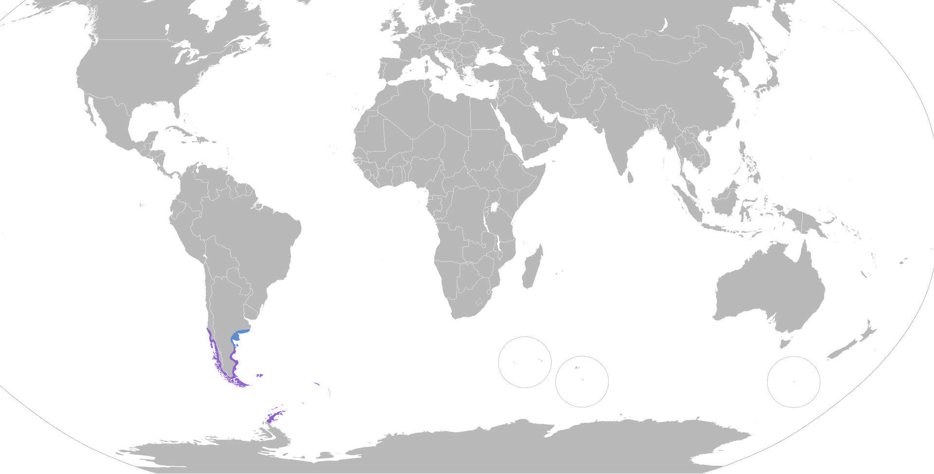 Mapa rozšíření – Kormorán modrooký (Phalacrocorax atriceps)