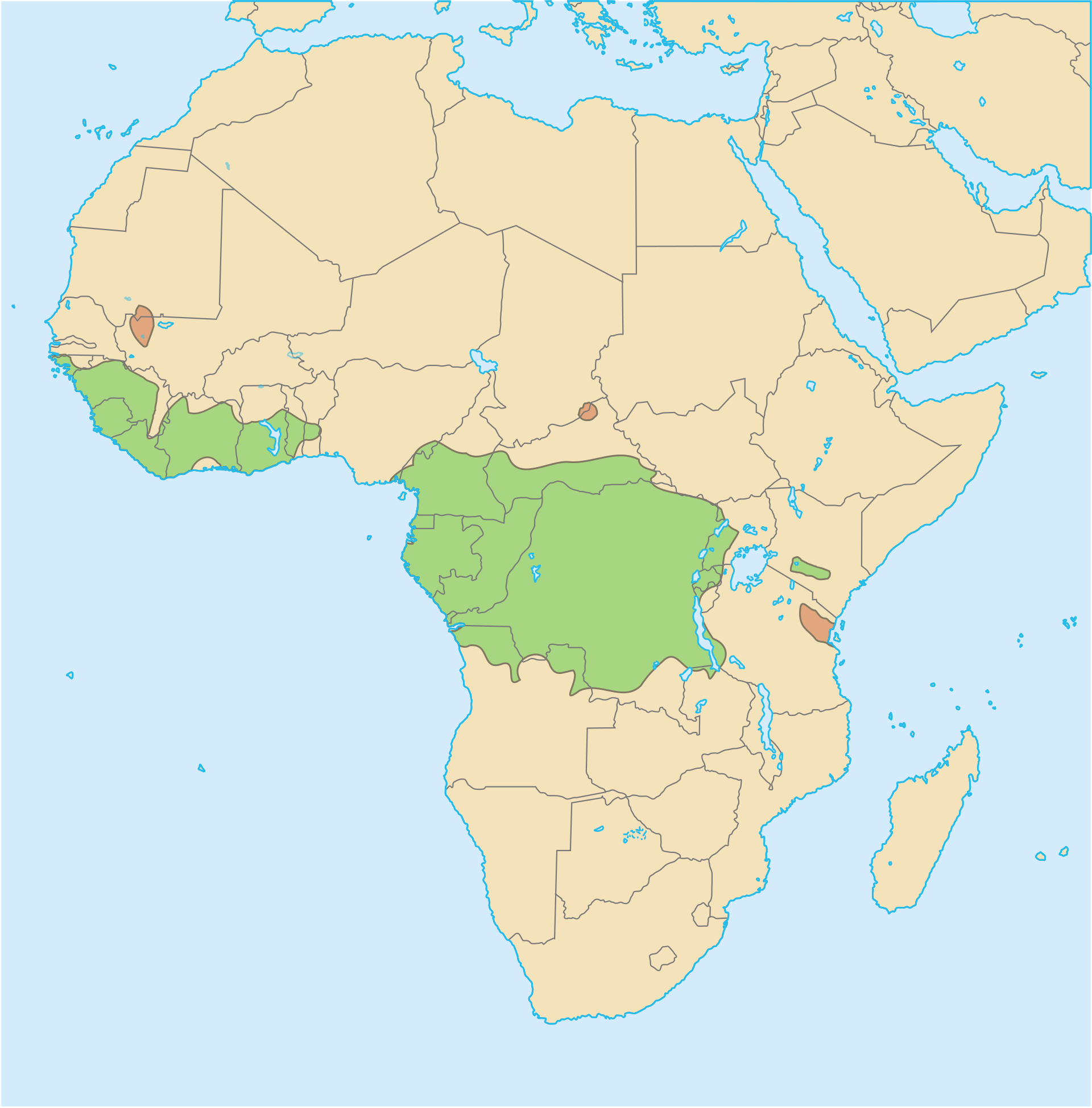 Mapa rozšíření – Kočka zlatá (Caracal aurata)