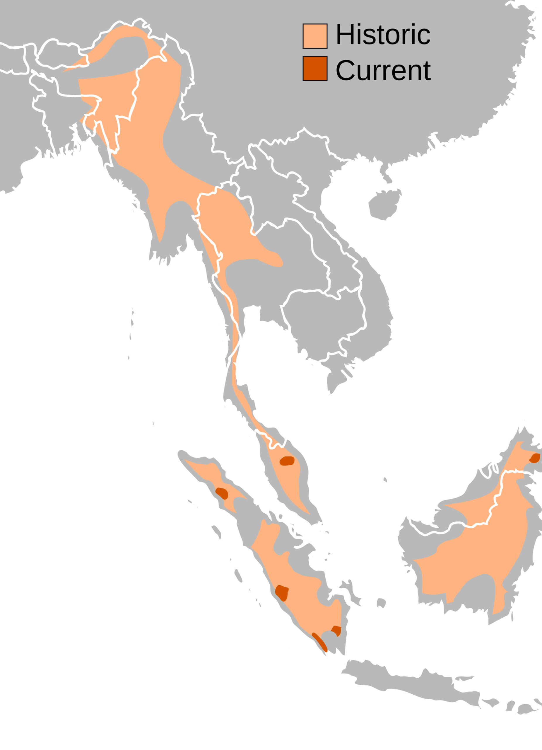 Mapa rozšíření – Nosorožec sumaterský (Dicerorhinus sumatrensis)