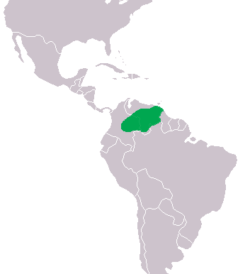 Mapa rozšíření – Krokodýl orinocký (Crocodylus intermedius)