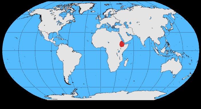 Mapa rozšíření – Krkavec tlustozobý (Corvus crassirostris)