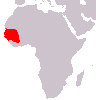 Mapa rozšíření – Pavián guinejský (Papio papio)