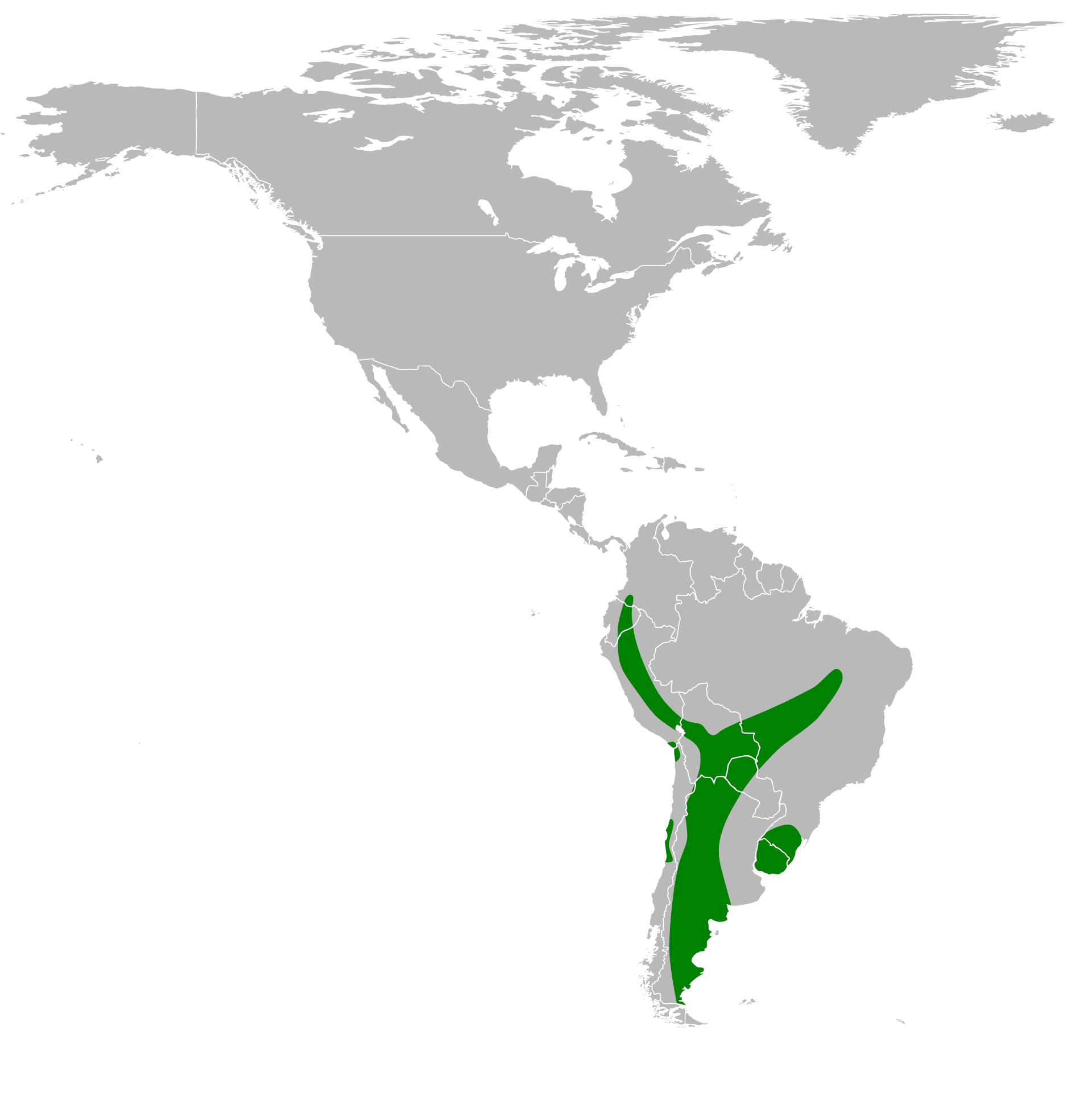 Mapa rozšíření – Kočka pampová (Leopardus colocolo)