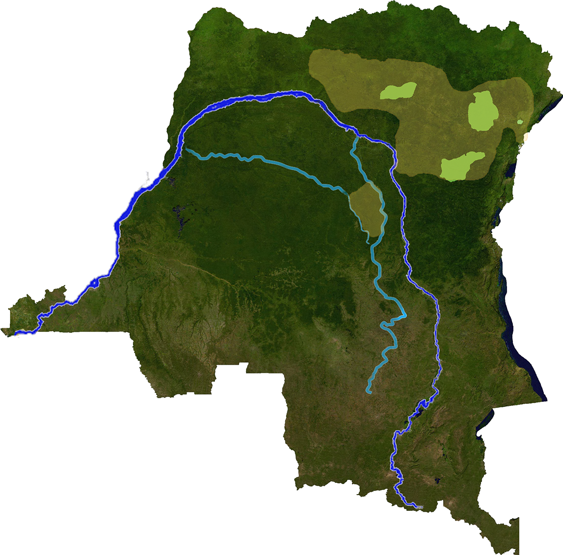 Mapa rozšíření – Okapi (Okapia johnstoni)