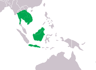 Mapa rozšíření – Krokodýl siamský (Crocodylus siamensis)