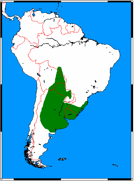 Mapa rozšíření – Pes pampový (Pseudalopex gymnocercus)