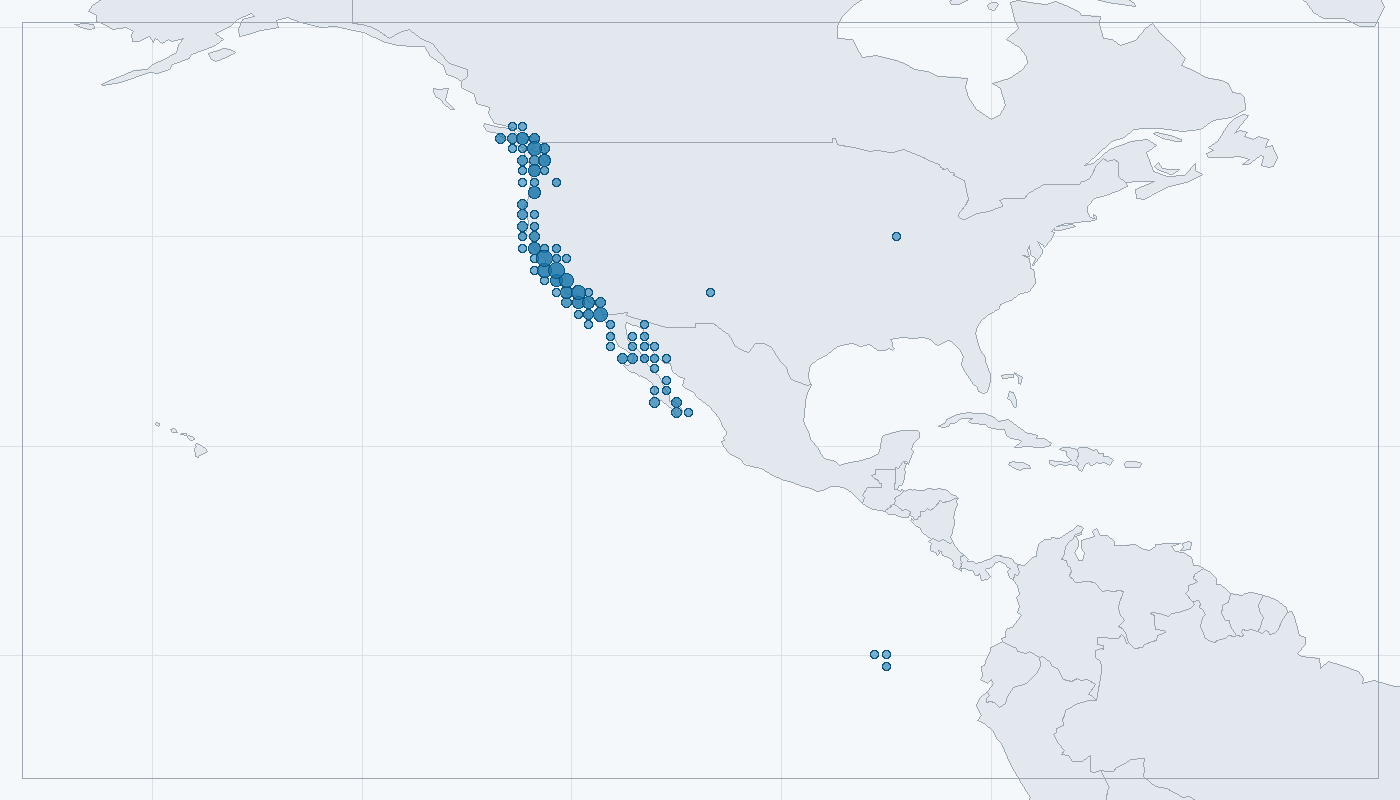 Mapa zaznamenaného výskytu: Lachtan kalifornský (Zalophus californianus)