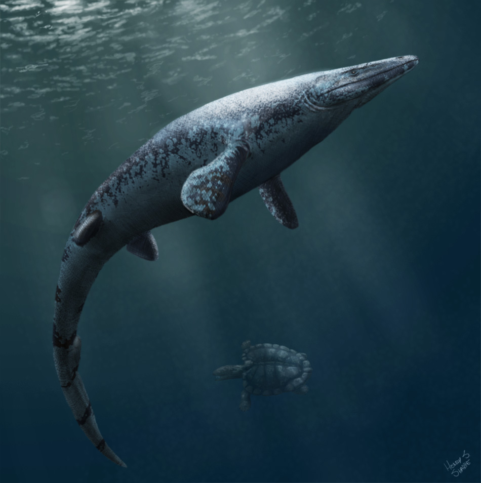Angolasaurus (Anglosaurus)
