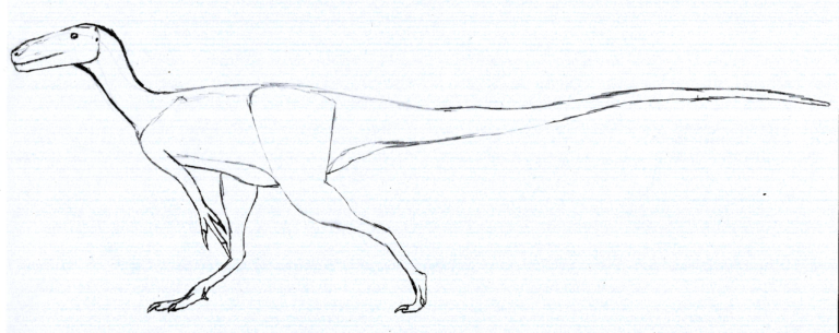 Aviatyrannis