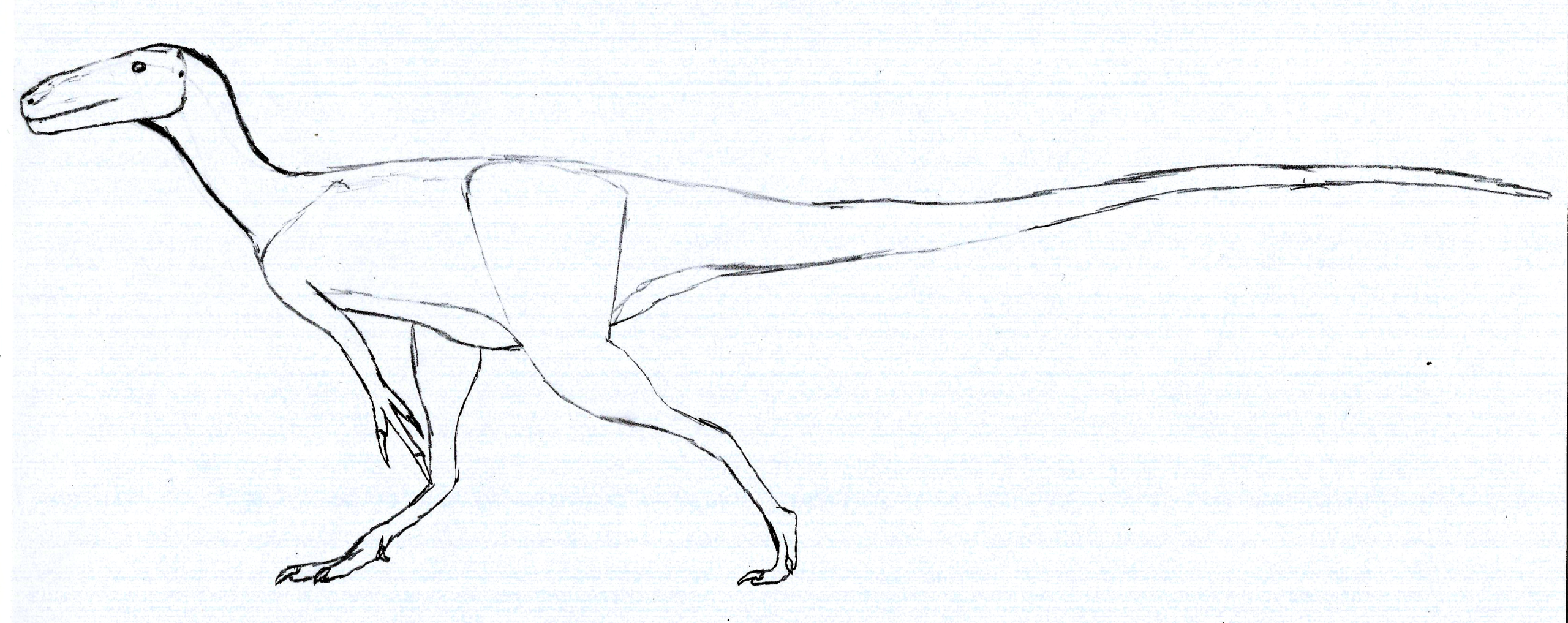 Aviatyrannis