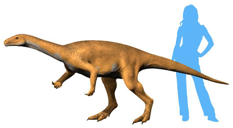Bagualosaurus