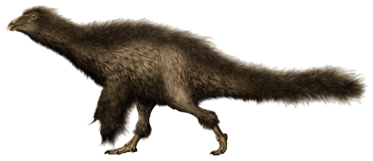 Beipiaosaurus Beipiaosaurus