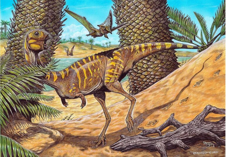 Berthasaura