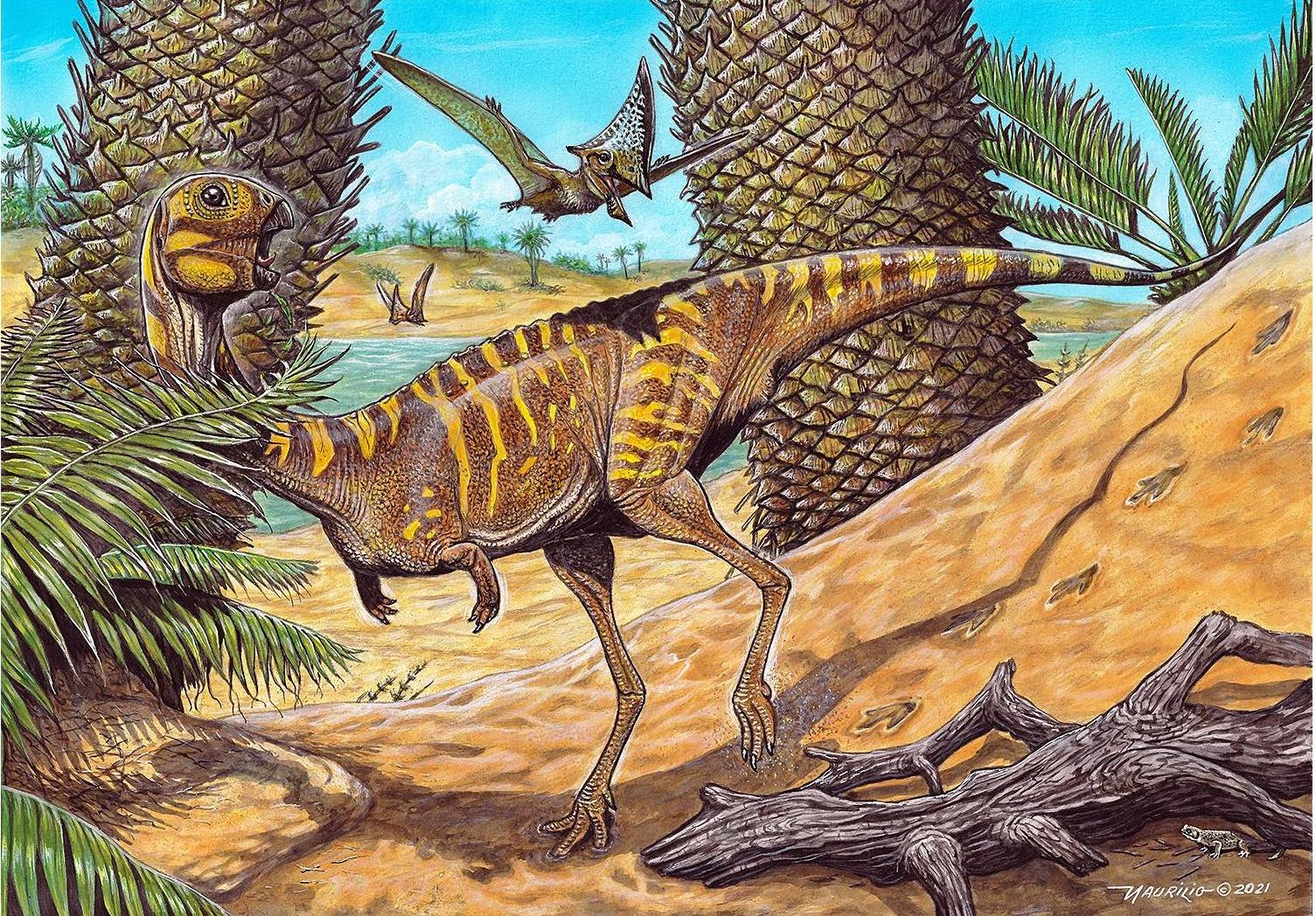 Berthasaura