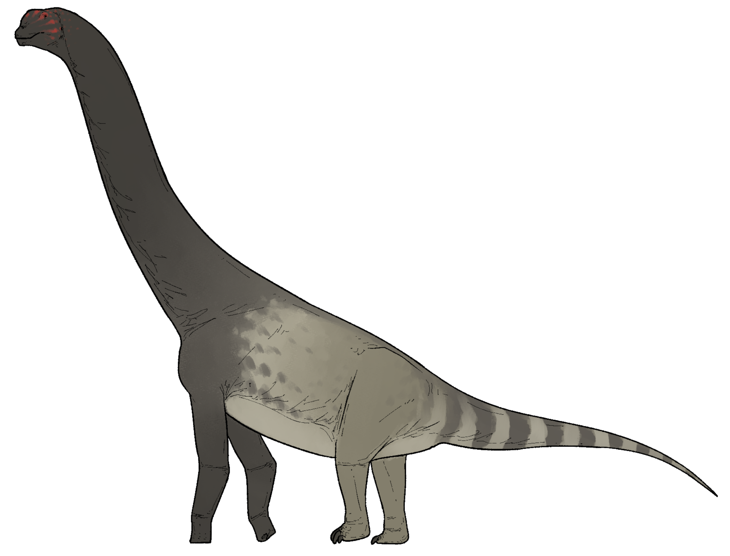 Bicharracosaurus