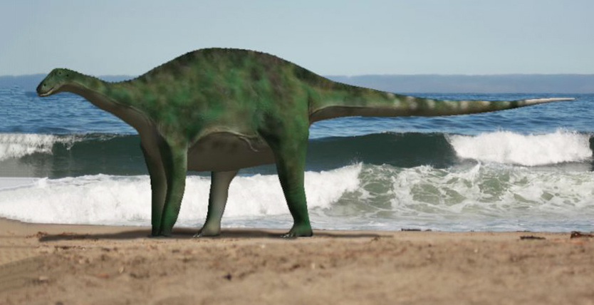 Brachytrachelopan