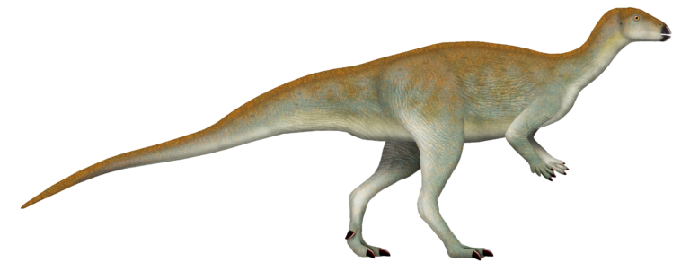 Chakisaurus
