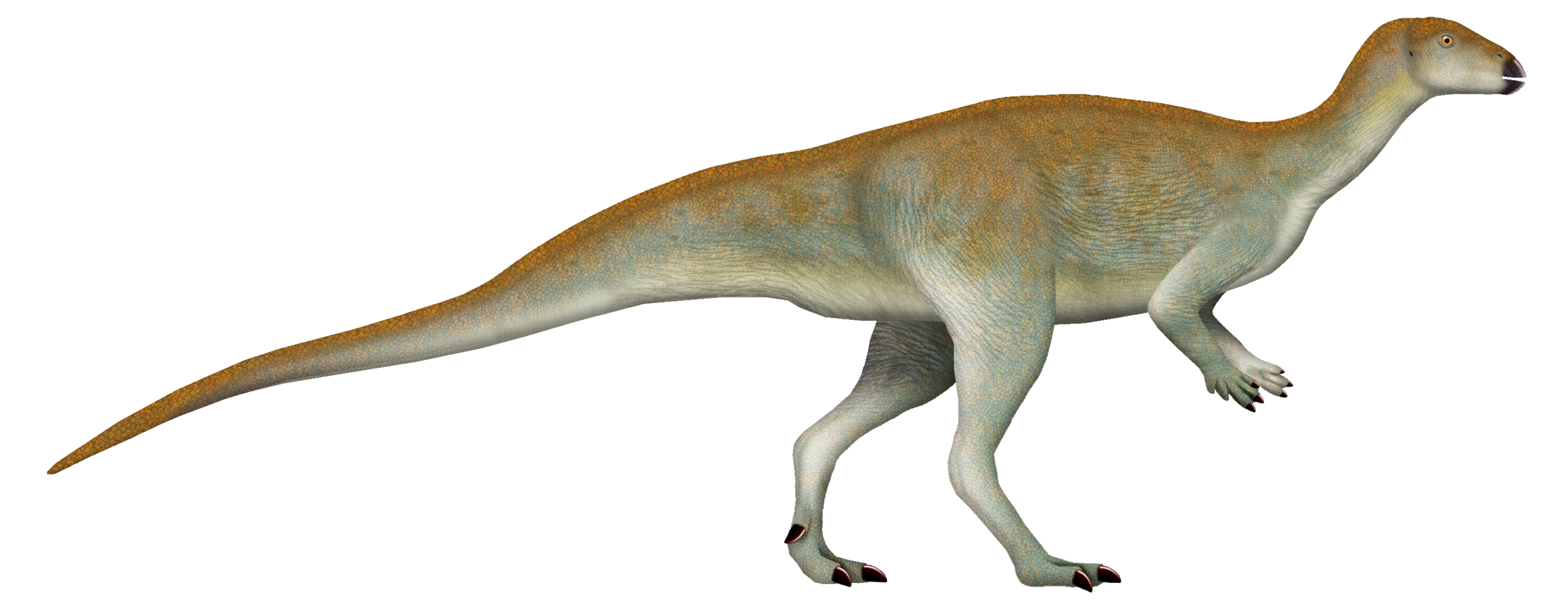Chakisaurus