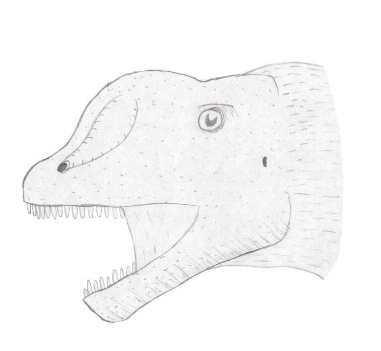 Chebsaurus