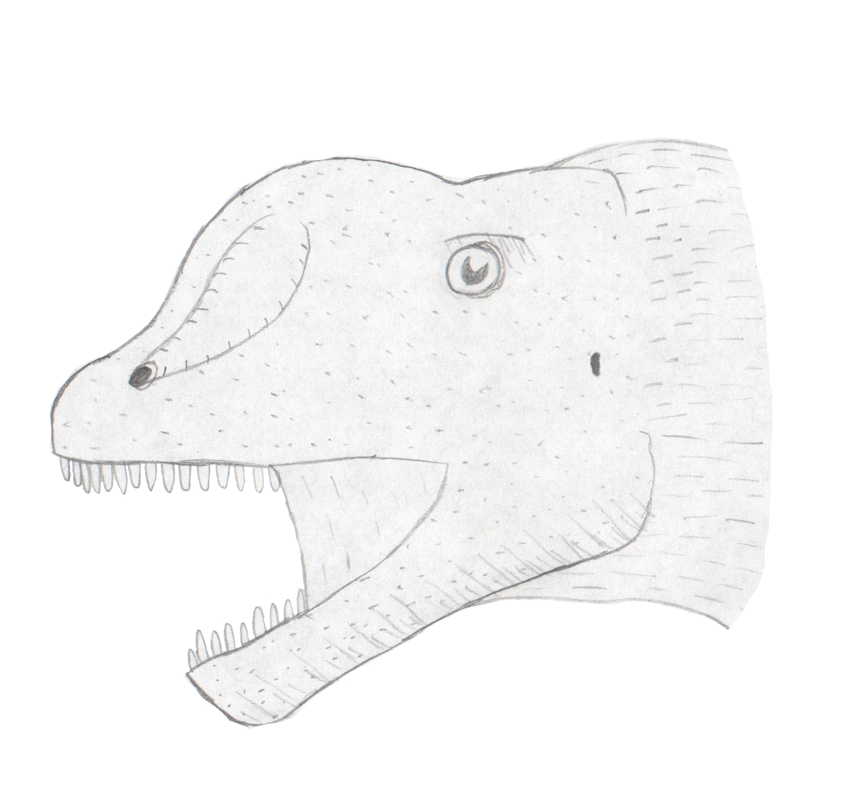 Chebsaurus