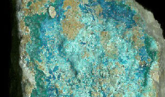 Chryzokol