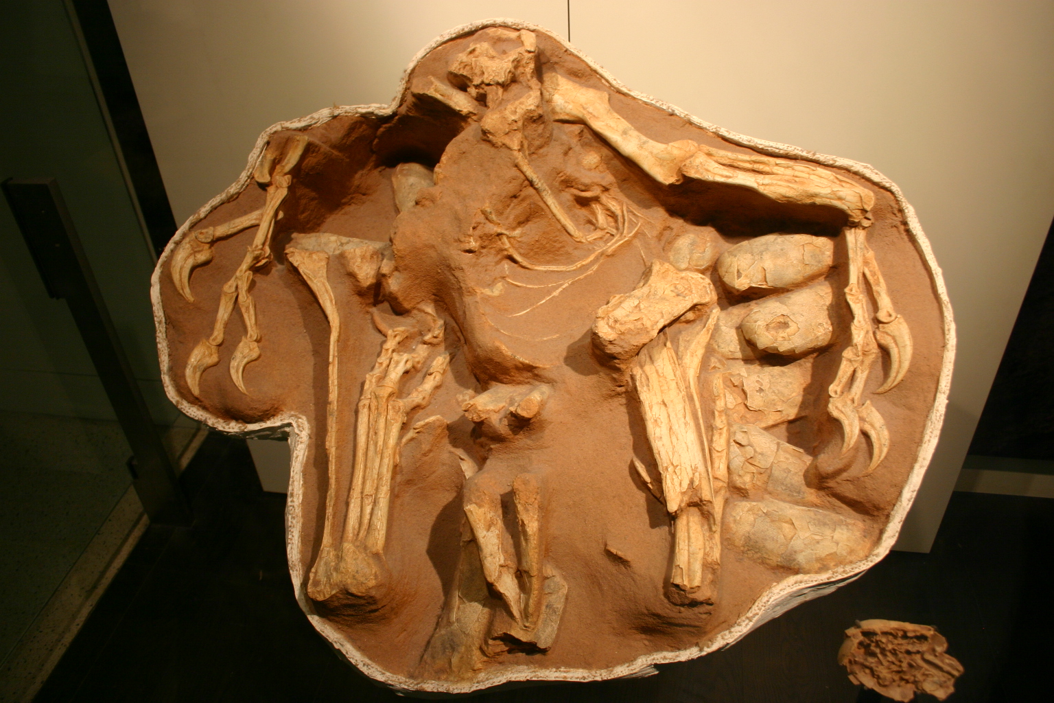 Citipati