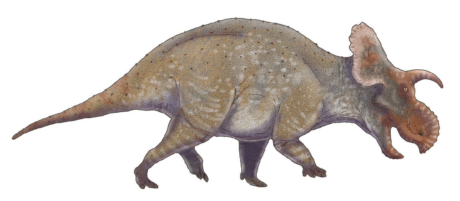 Crittendenceratops