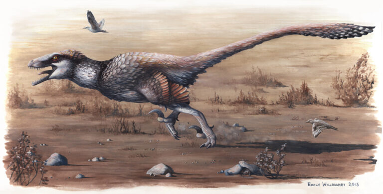 Dakotaraptor