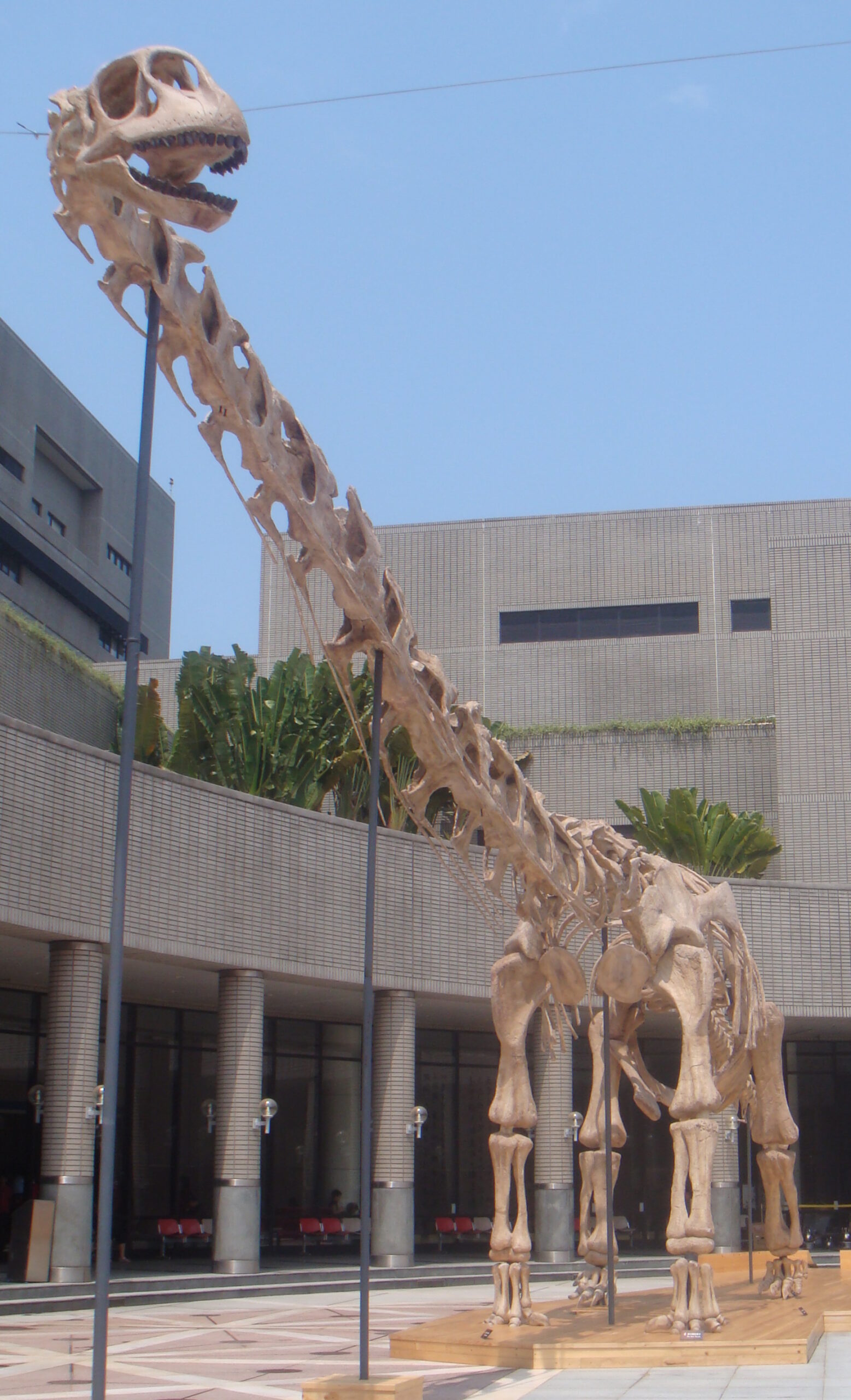 Daxiatitan