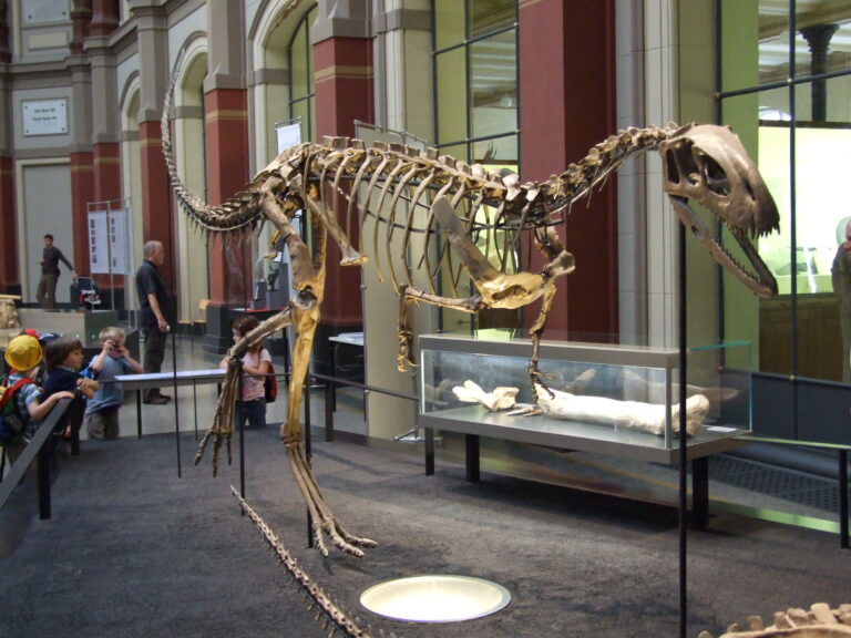 Elaphrosaurus