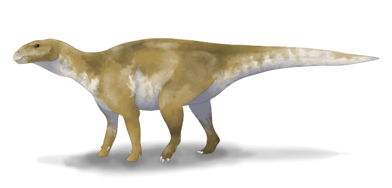 Eolambia