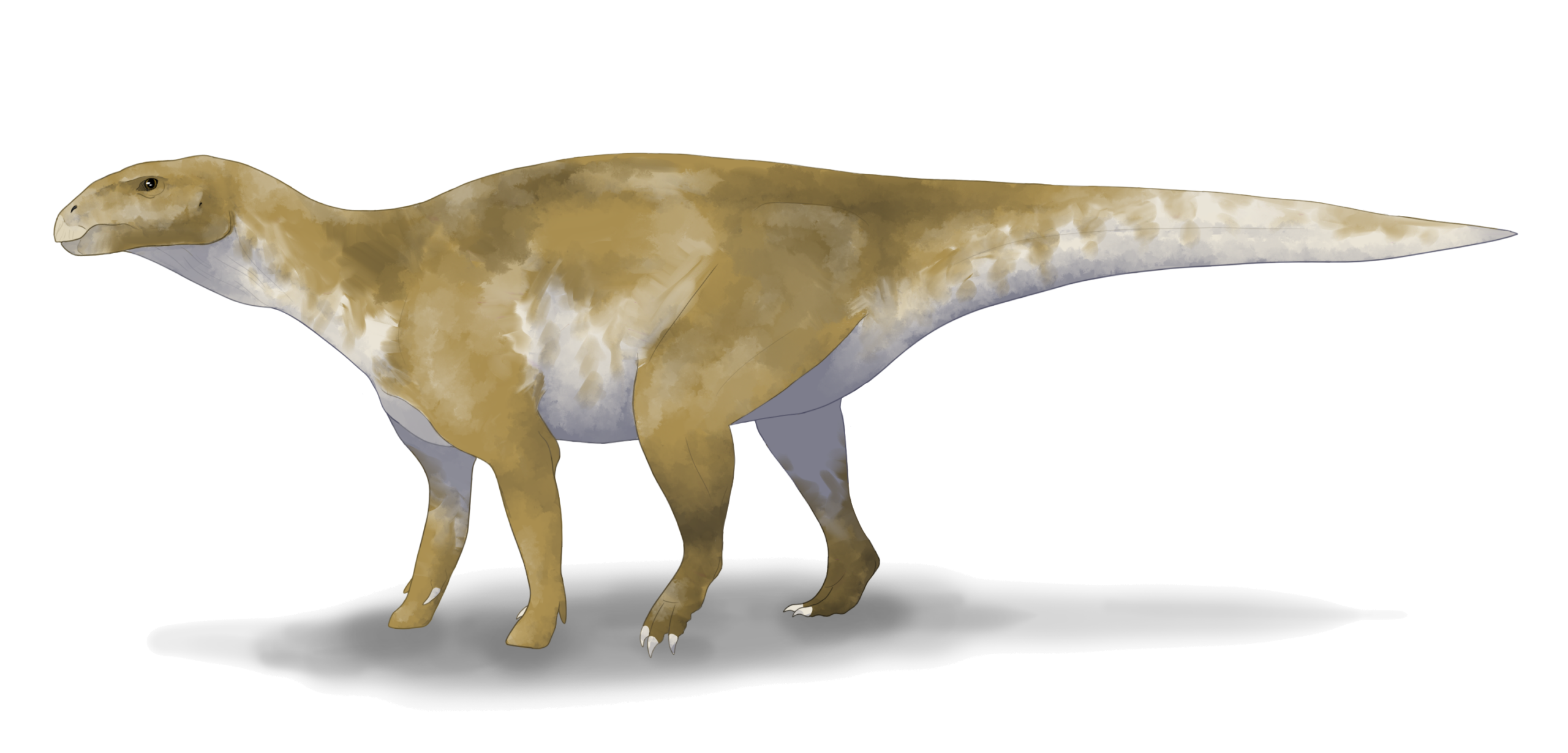 Eolambia