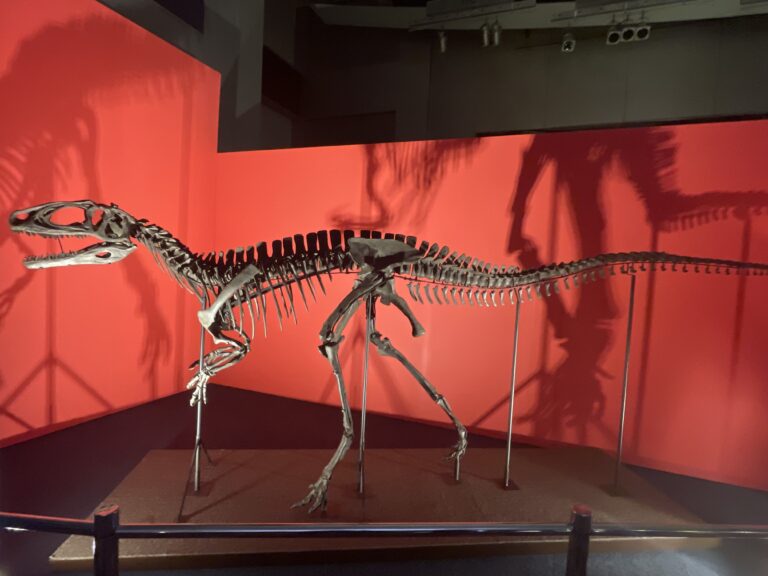 Fukuiraptor