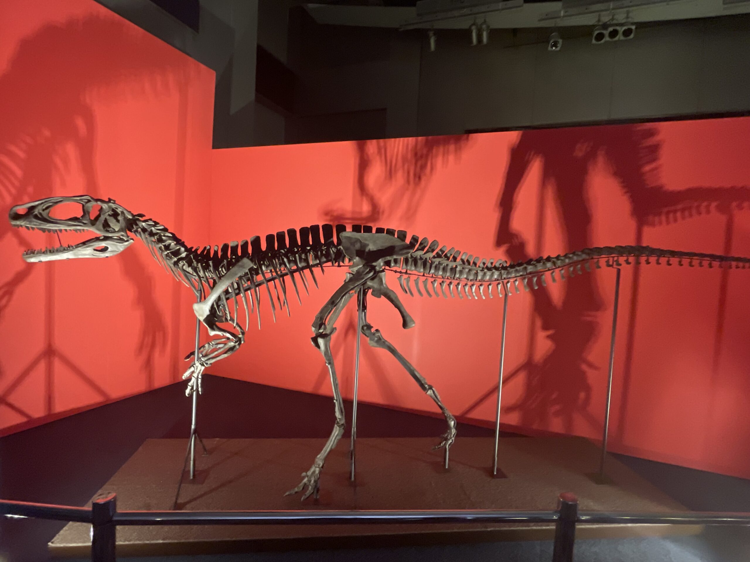 Fukuiraptor