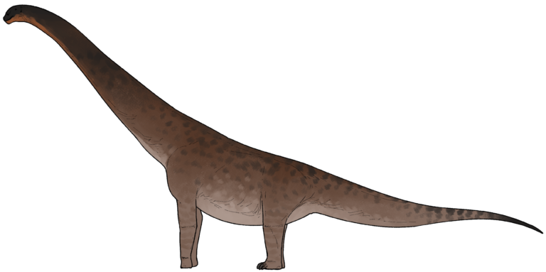 Gandititan