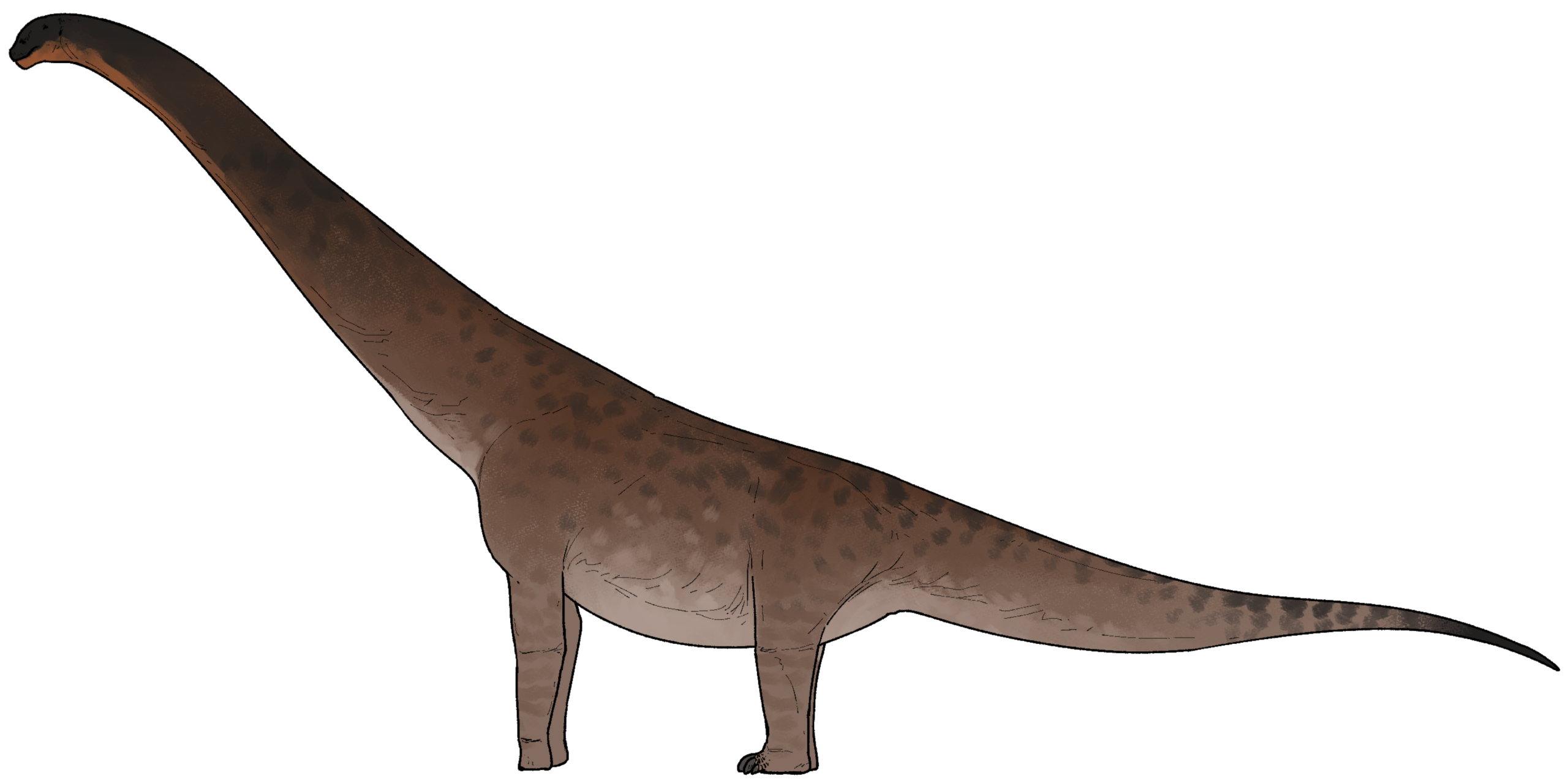 Gandititan