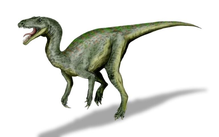 Gojirasaurus