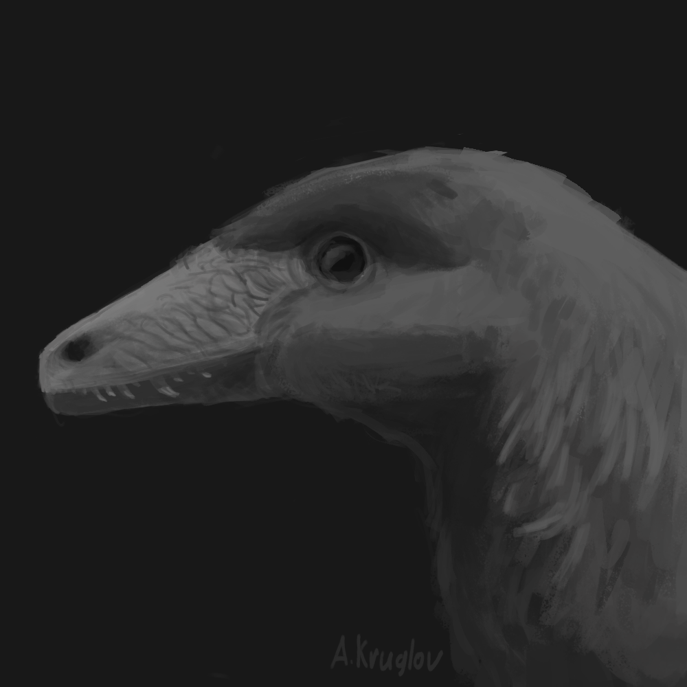 Hesperornithoides