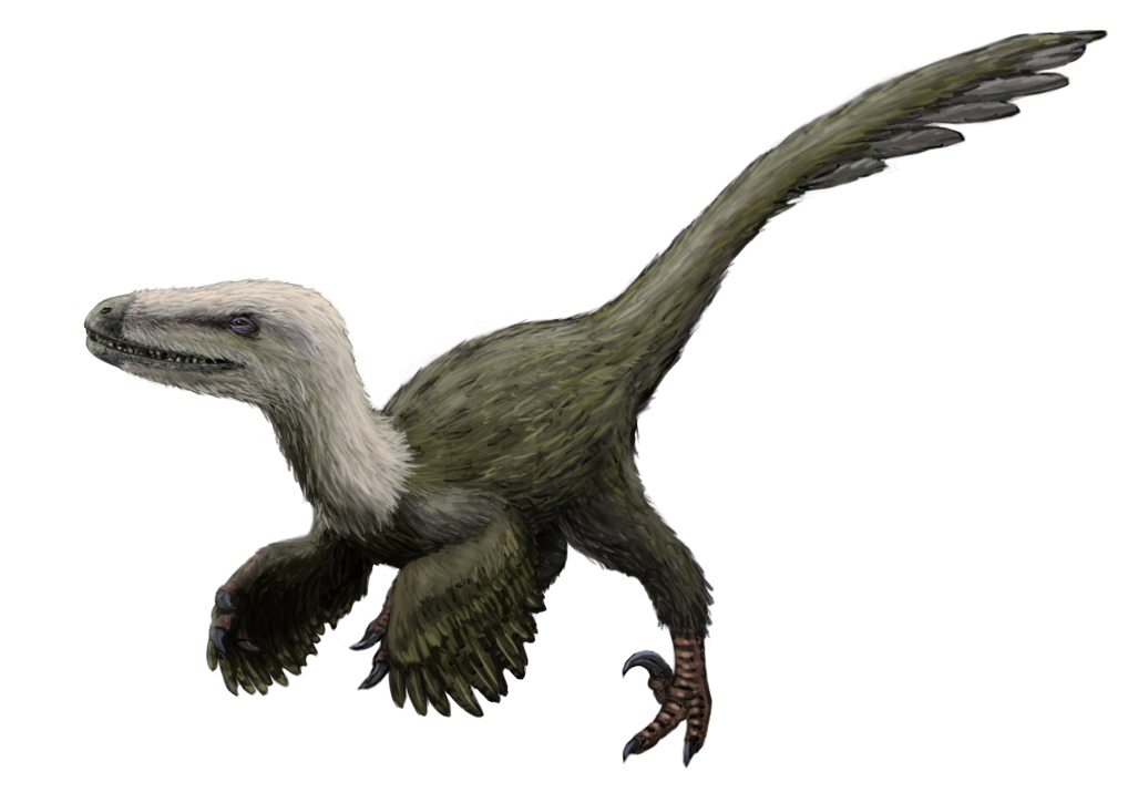 Kansaignathus